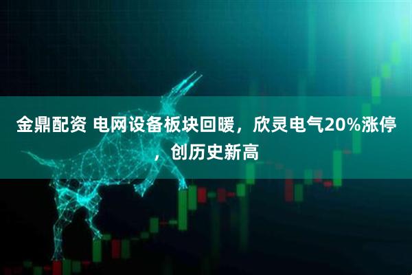 金鼎配资 电网设备板块回暖，欣灵电气20%涨停，创历史新高