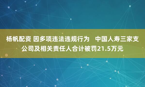 杨帆配资 因多项违法违规行为   中国人寿三家支公司及相关责任人合计被罚21.5万元