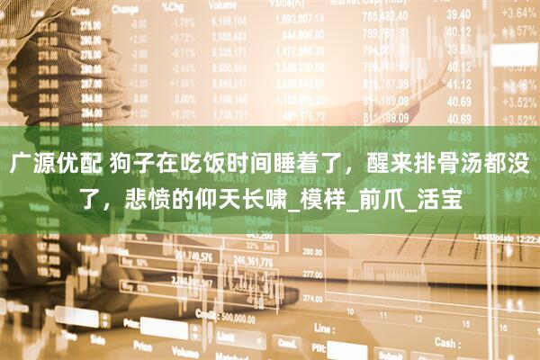 广源优配 狗子在吃饭时间睡着了，醒来排骨汤都没了，悲愤的仰天长啸_模样_前爪_活宝
