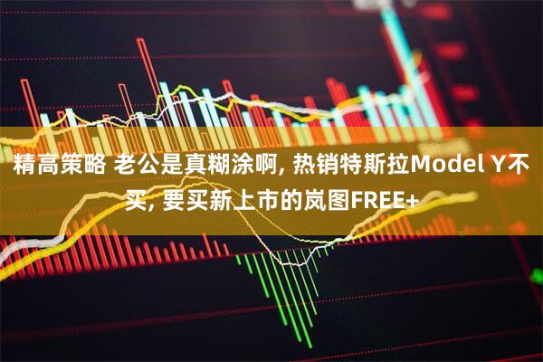 精高策略 老公是真糊涂啊, 热销特斯拉Model Y不买, 要买新上市的岚图FREE+