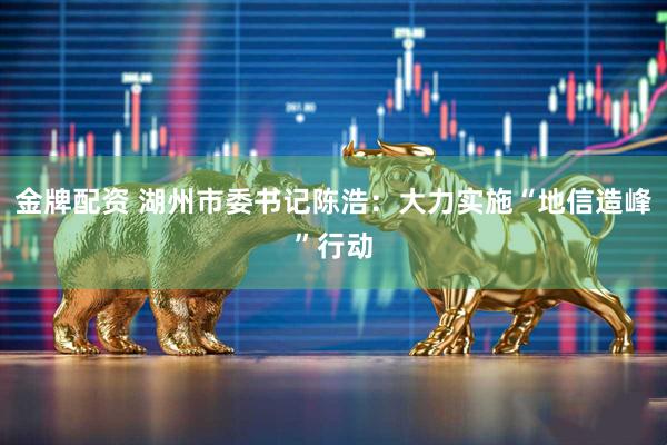 金牌配资 湖州市委书记陈浩：大力实施“地信造峰”行动